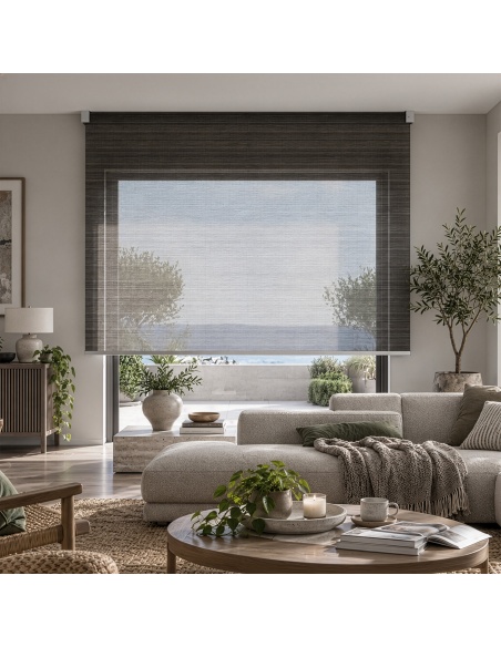 Estor Enrollable Transparente para Interiores, Recta Brush