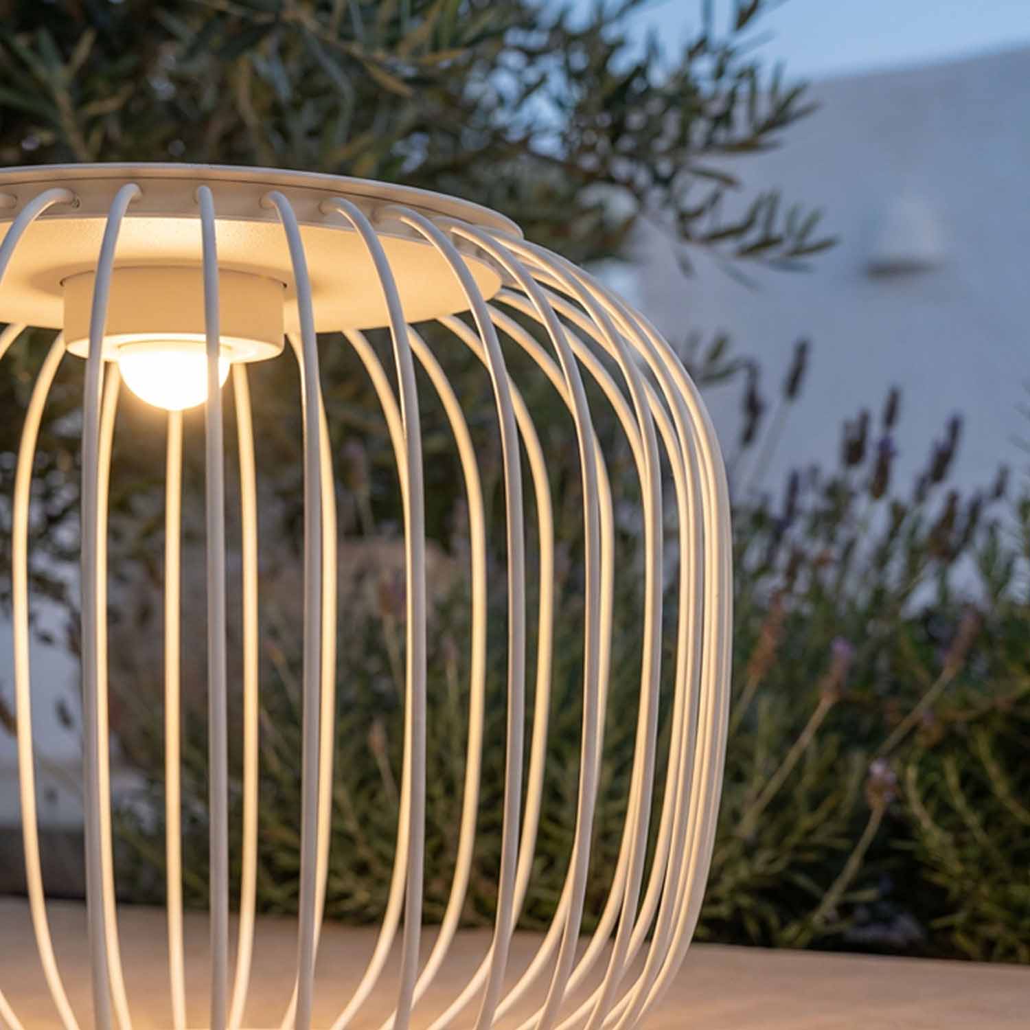 LED CREE profesional